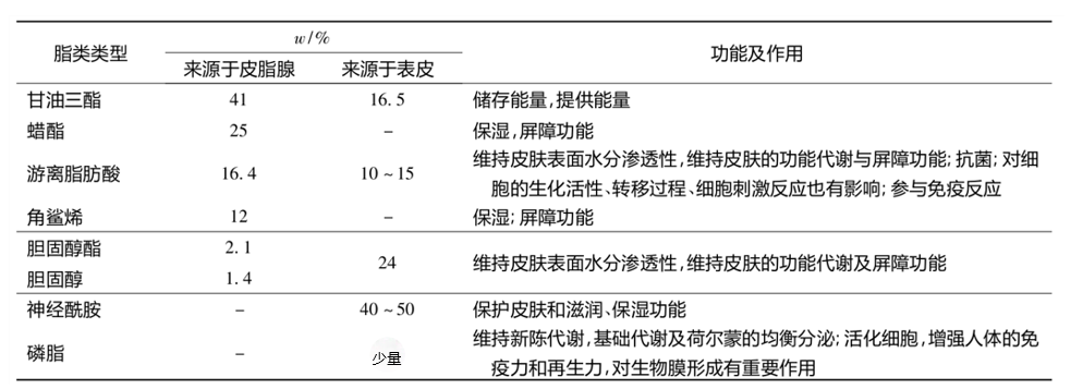 功效評價,新指標(biāo),皮膚表面,脂質(zhì)分析