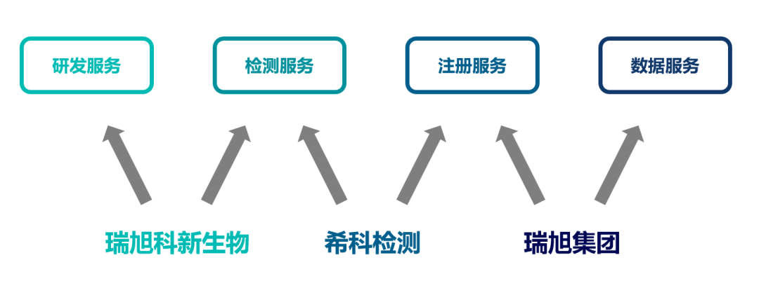 瑞旭科新生物,化妝品功效,日化品,瑞旭集團(tuán),?？茩z測(cè),注冊(cè)備案