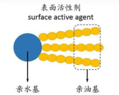 洗發(fā)水,頭發(fā),洗發(fā)水配方,去屑止癢,氨基酸型洗發(fā)水,無(wú)硅油洗發(fā)水